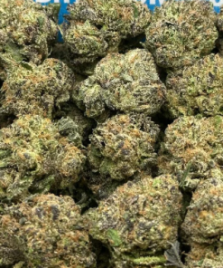 Black Runtz SM (Indica)