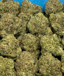 Orange Push Pop SM (Indica)