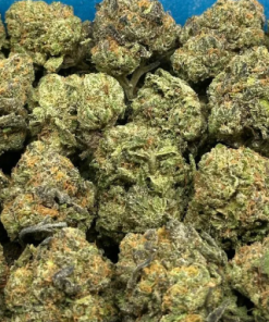 Gumbo SM (Sativa)