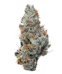 Grape APE (Indica)