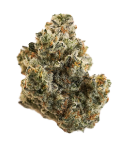 Cap Junky (Sativa)