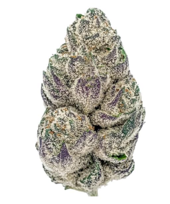 Mr Nasty (Hybrid)
