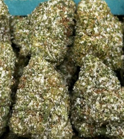 Terp Infused Lollipop 🍭