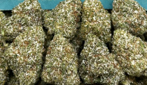 Terp Infused Lollipop 🍭