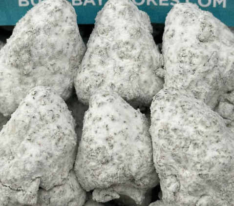 Gelato 45 Snowballs (Hybrid)