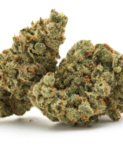 Lollipop Exotics Terp Strain