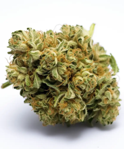 Lemon Runtz (hybrid)