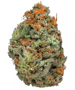Mango Dream (hybrid)