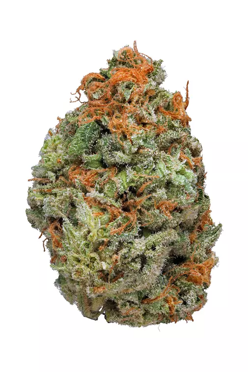 Mango Dream (hybrid)