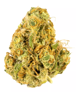 Riddler strain (hybrid)