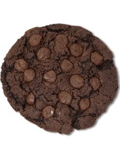 Double Chocolate Chip Cookie 100mg Delta-9 THC