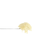 Dulce De Papaya Rosin